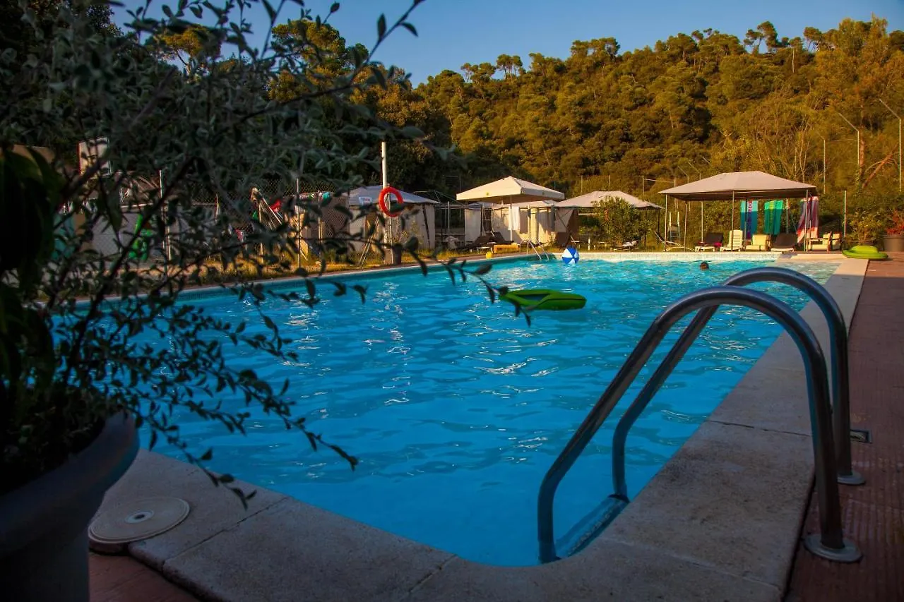 Inout Hostel La Floresta Pearson