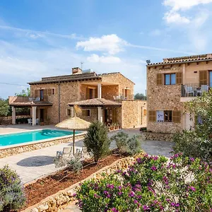 S'hort Capita , Ariany Spain
