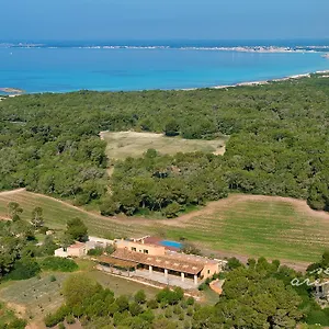 Ses Arenes , Colònia de Sant Jordi Spanien